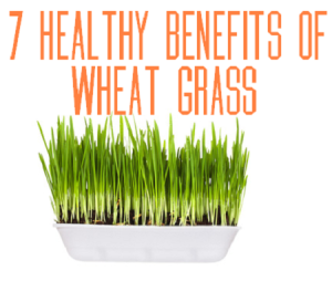 7 healthy benefits of wheat grass