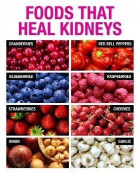 Foods That Heal Kidneys