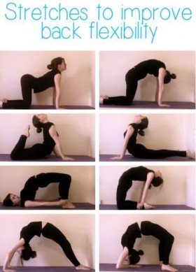 Stretches for your back