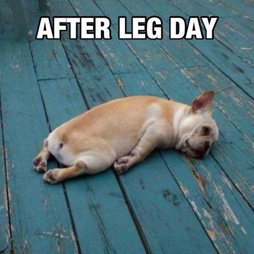 After leg day