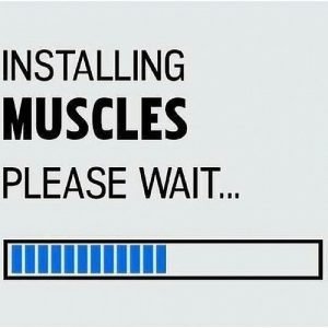 installing muscle inspiration